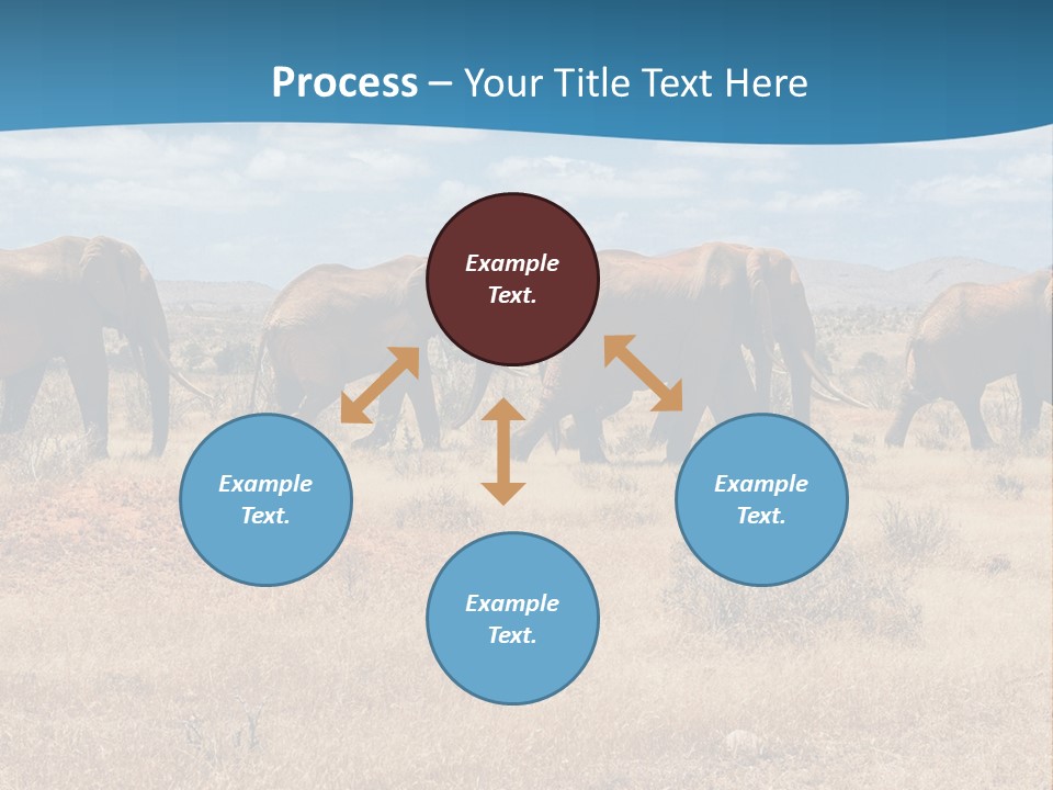 A Herd Of Elephants Walking Across A Dry Grass Field PowerPoint Template
