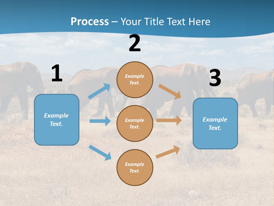 A Herd Of Elephants Walking Across A Dry Grass Field PowerPoint Template