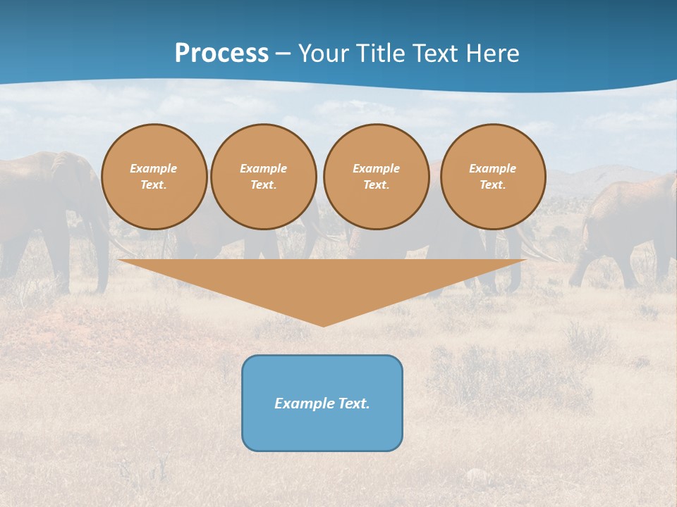 A Herd Of Elephants Walking Across A Dry Grass Field PowerPoint Template