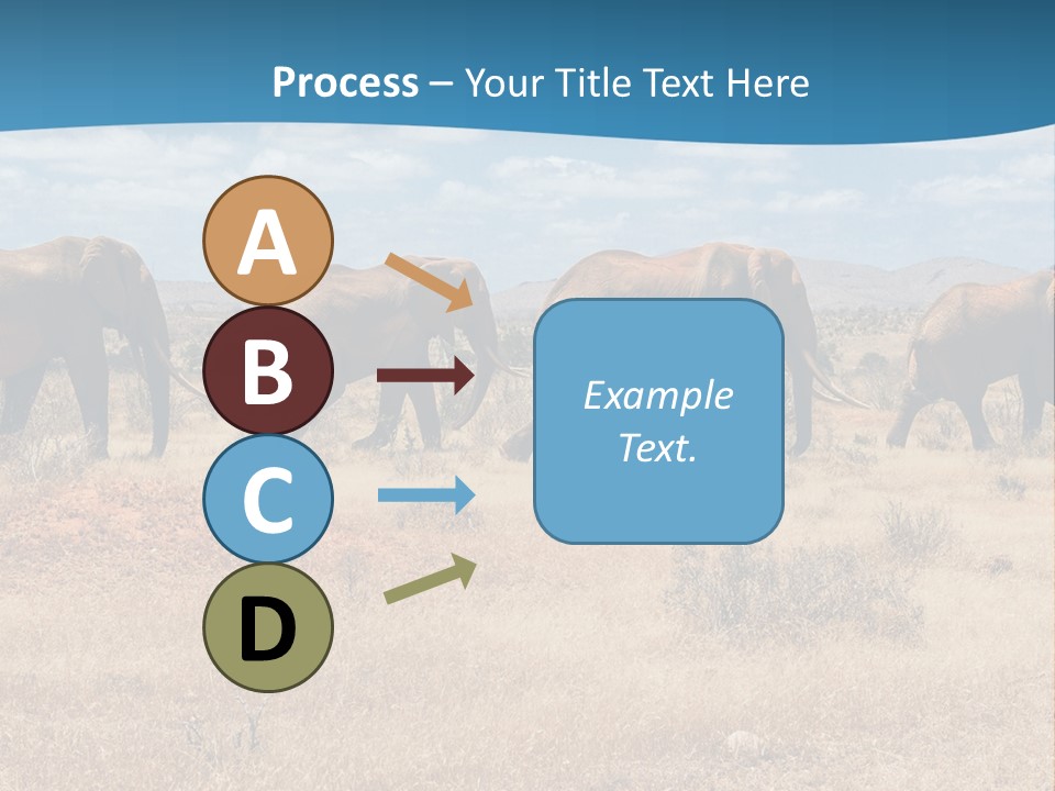 A Herd Of Elephants Walking Across A Dry Grass Field PowerPoint Template
