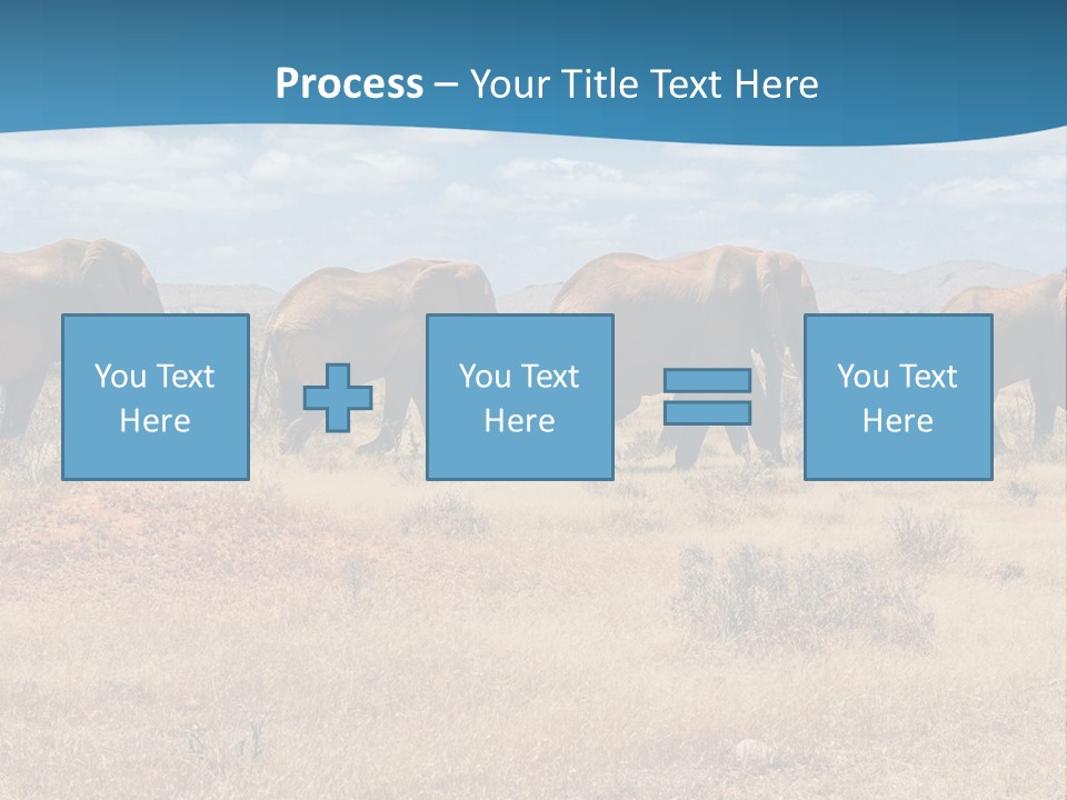 A Herd Of Elephants Walking Across A Dry Grass Field PowerPoint Template