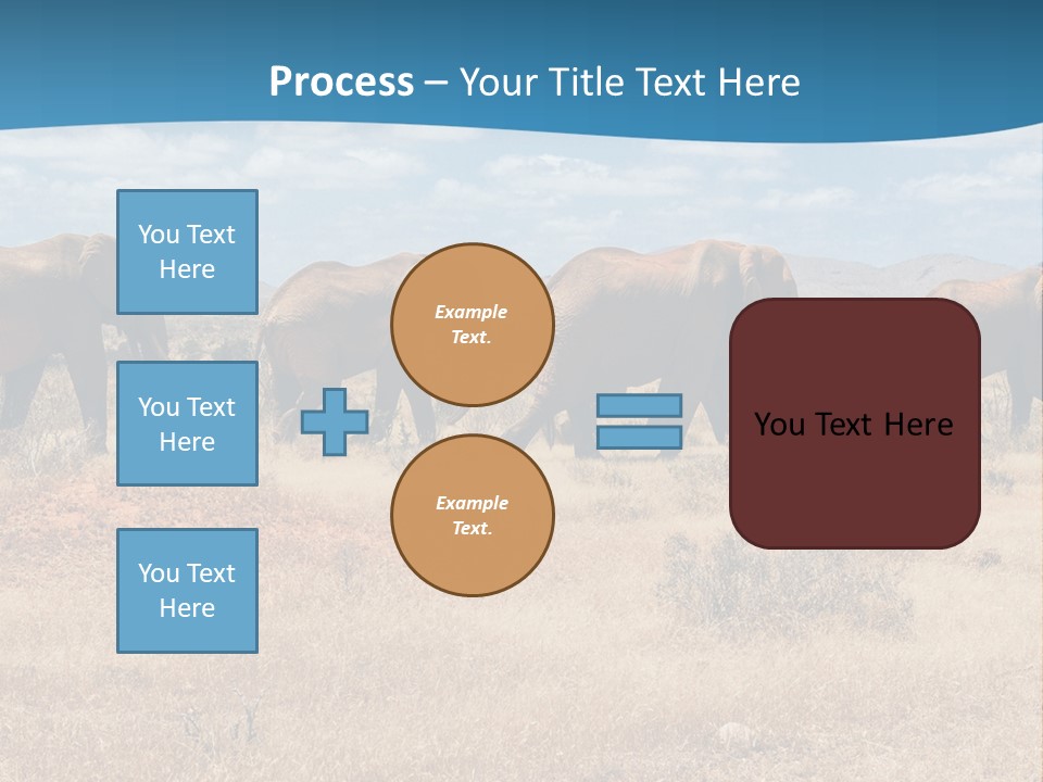 A Herd Of Elephants Walking Across A Dry Grass Field PowerPoint Template