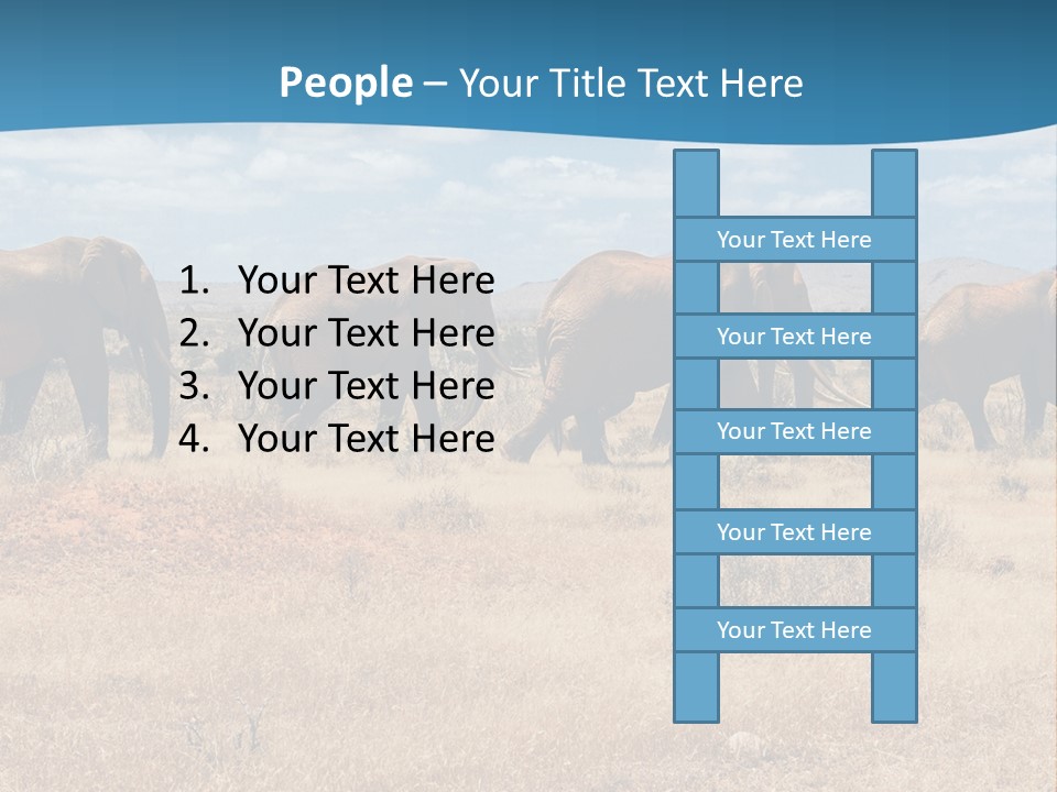 A Herd Of Elephants Walking Across A Dry Grass Field PowerPoint Template