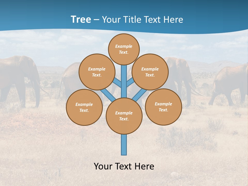 A Herd Of Elephants Walking Across A Dry Grass Field PowerPoint Template