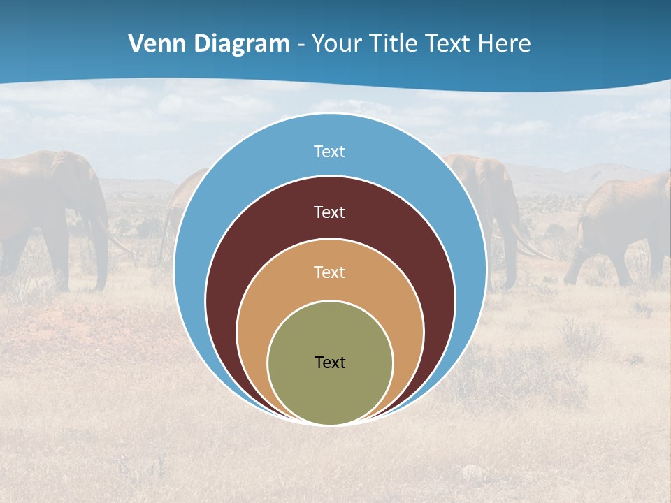 A Herd Of Elephants Walking Across A Dry Grass Field PowerPoint Template