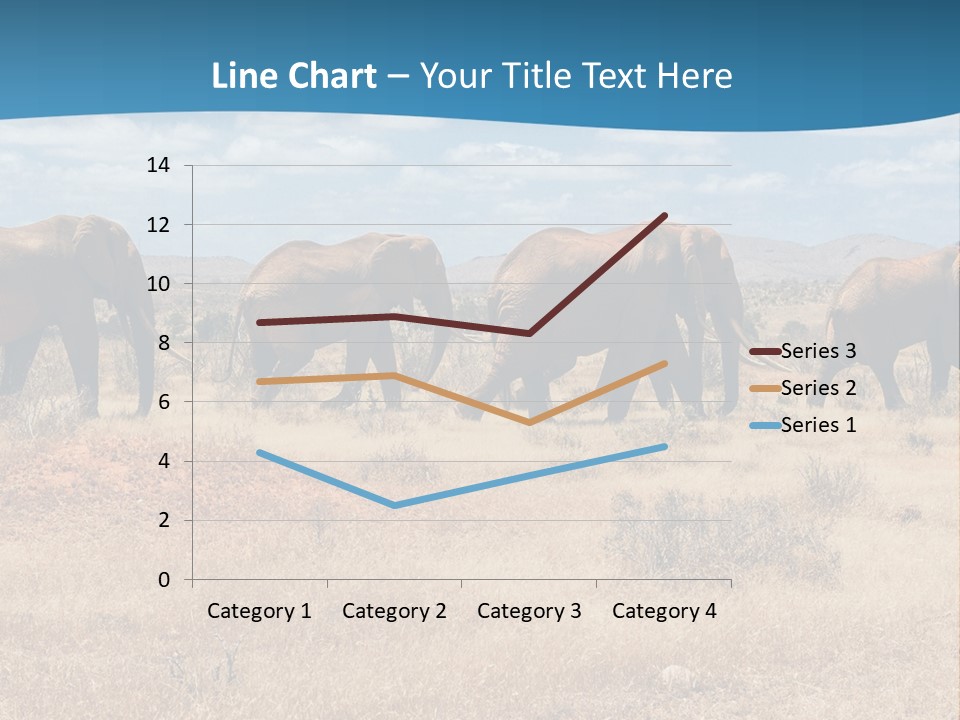 A Herd Of Elephants Walking Across A Dry Grass Field PowerPoint Template