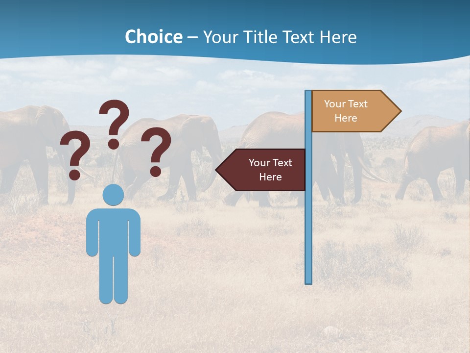 A Herd Of Elephants Walking Across A Dry Grass Field PowerPoint Template
