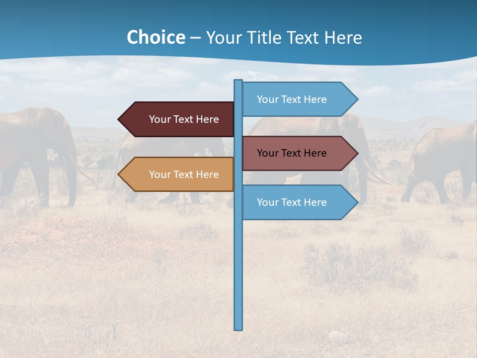 A Herd Of Elephants Walking Across A Dry Grass Field PowerPoint Template