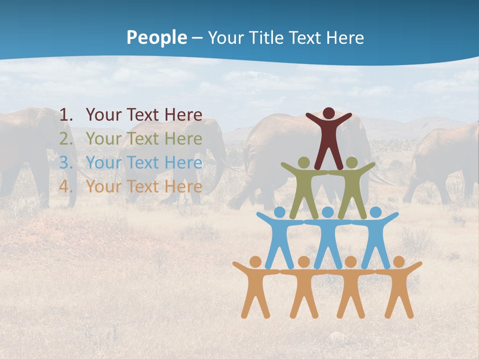A Herd Of Elephants Walking Across A Dry Grass Field PowerPoint Template