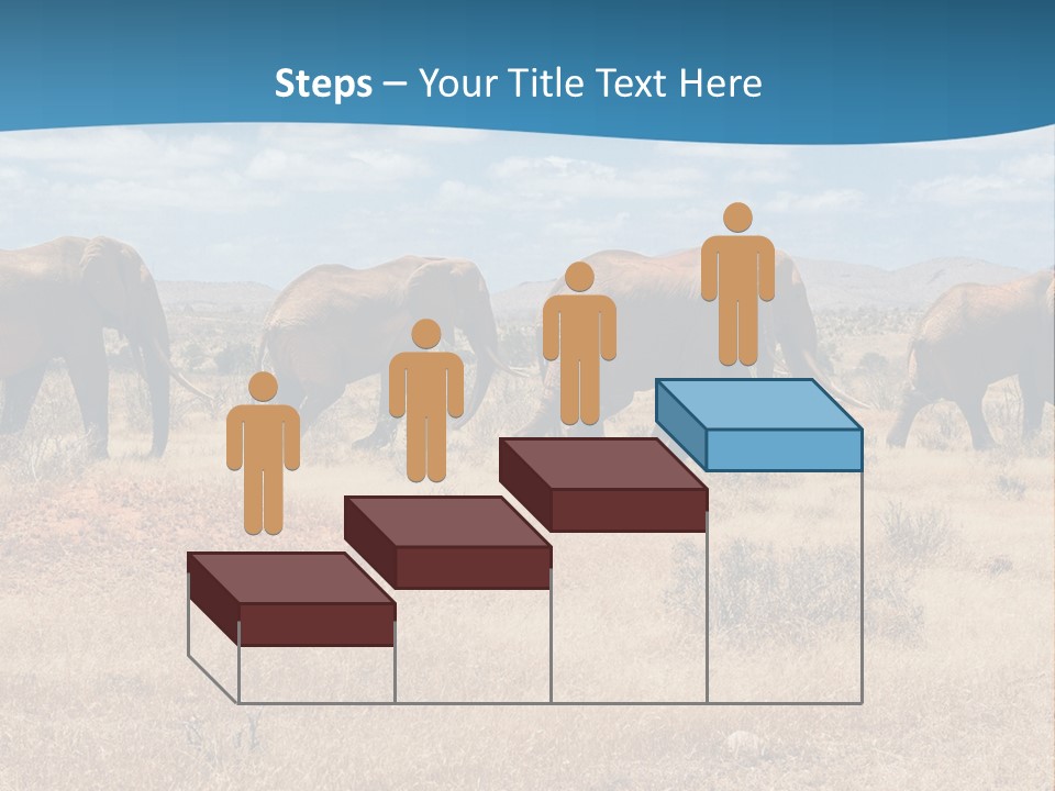 A Herd Of Elephants Walking Across A Dry Grass Field PowerPoint Template