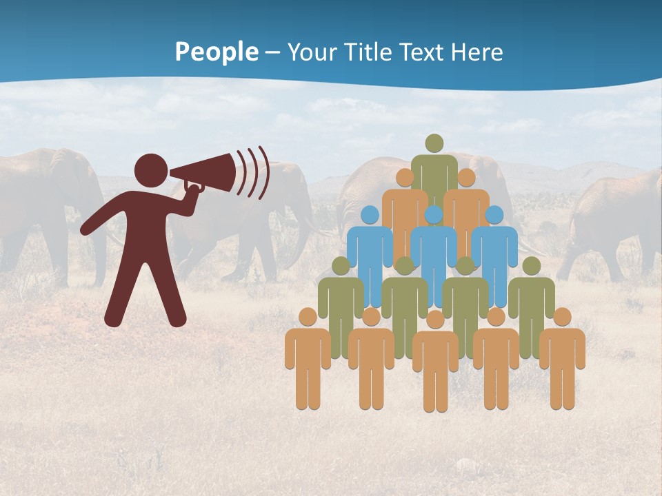 A Herd Of Elephants Walking Across A Dry Grass Field PowerPoint Template