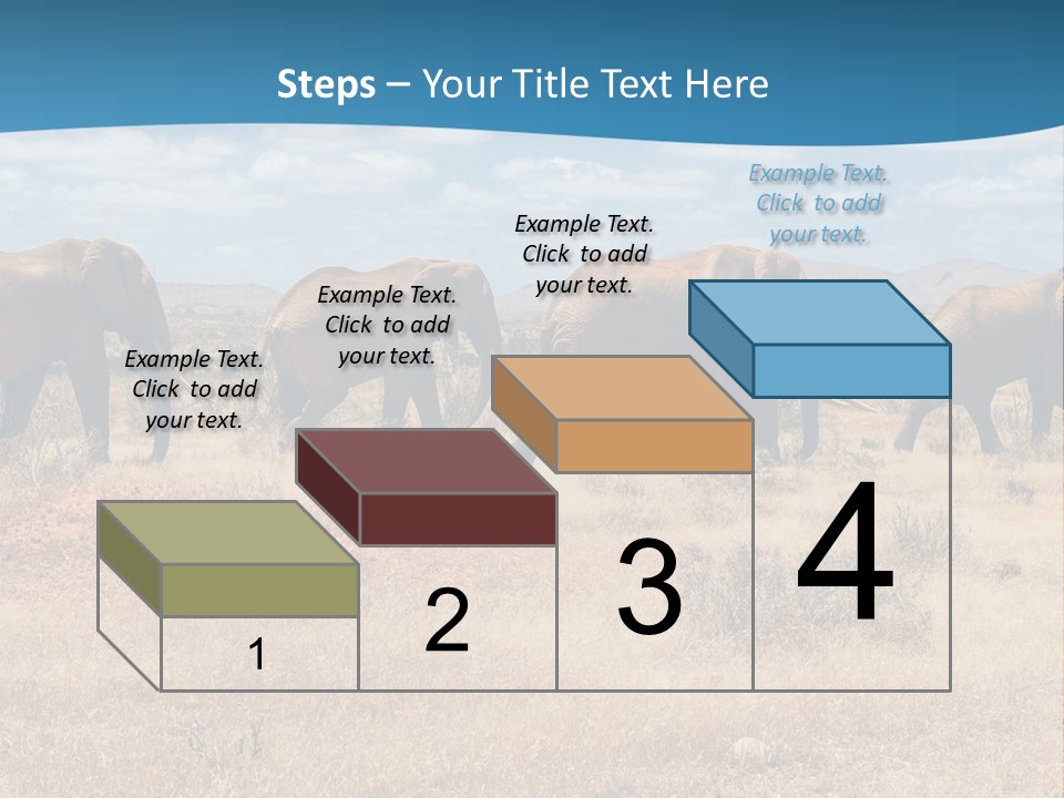 A Herd Of Elephants Walking Across A Dry Grass Field PowerPoint Template