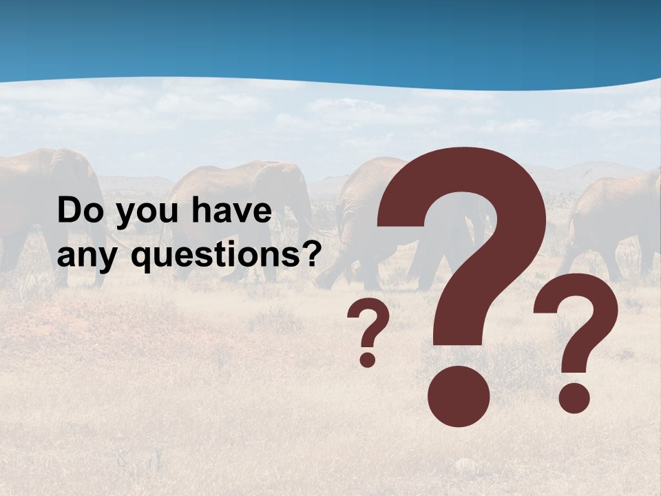 A Herd Of Elephants Walking Across A Dry Grass Field PowerPoint Template