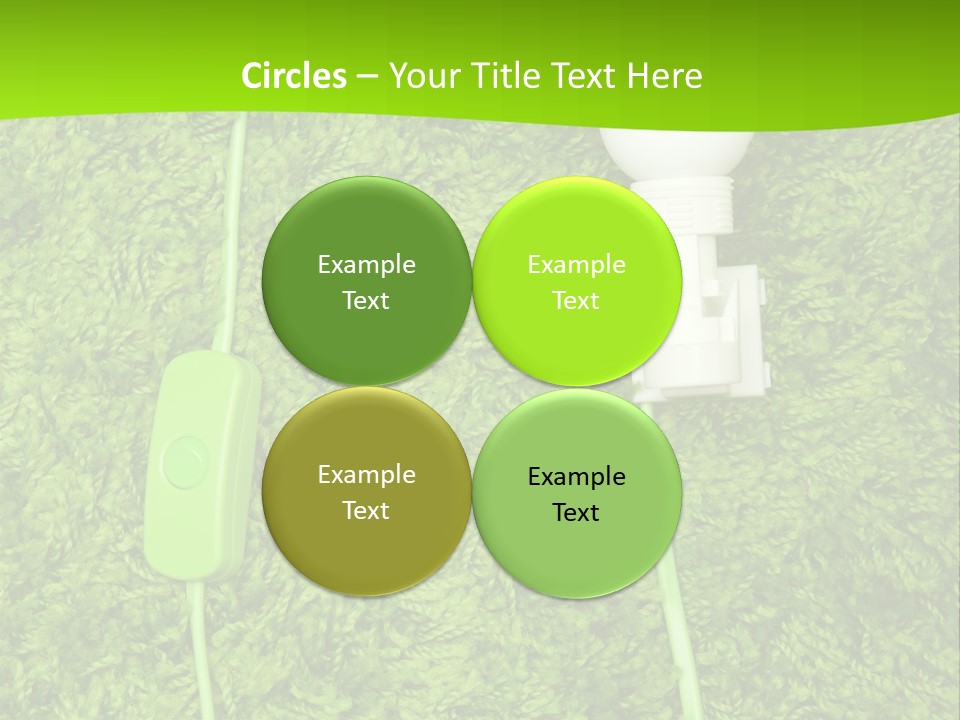 A Light Bulb On The Grass Powerpoint Template PowerPoint Template