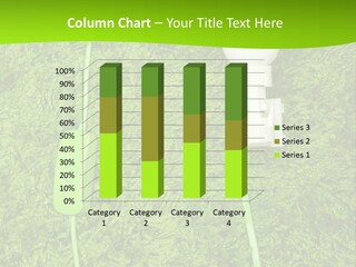 A Light Bulb On The Grass Powerpoint Template PowerPoint Template