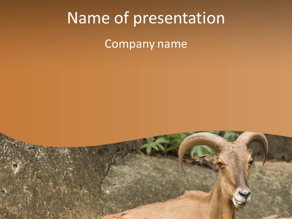A Goat Standing On Top Of A Pile Of Rocks PowerPoint Template