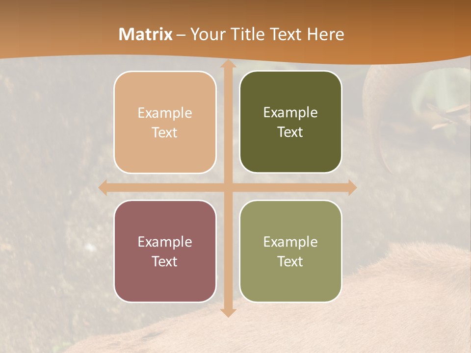 A Goat Standing On Top Of A Pile Of Rocks PowerPoint Template