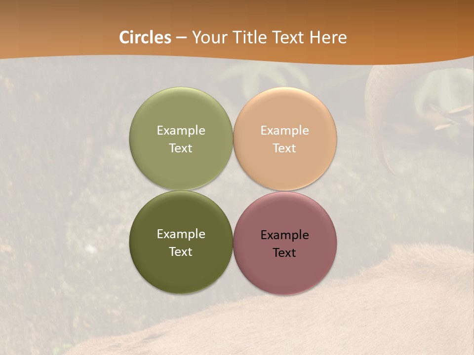 A Goat Standing On Top Of A Pile Of Rocks PowerPoint Template
