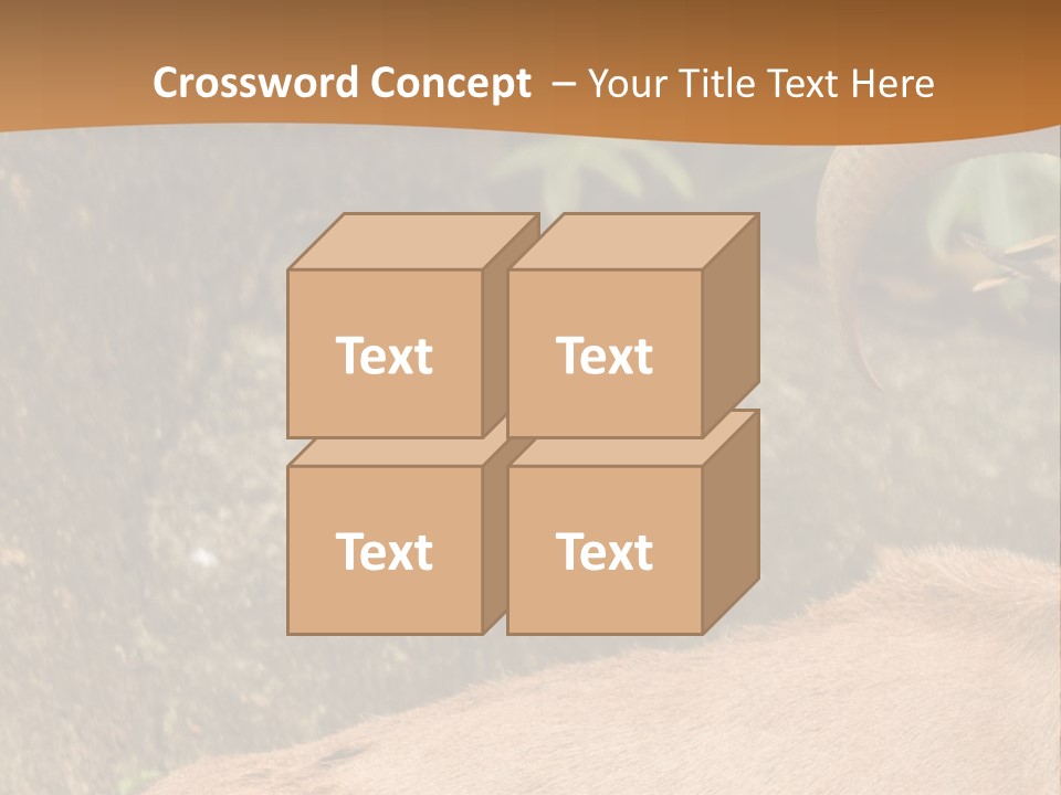 A Goat Standing On Top Of A Pile Of Rocks PowerPoint Template