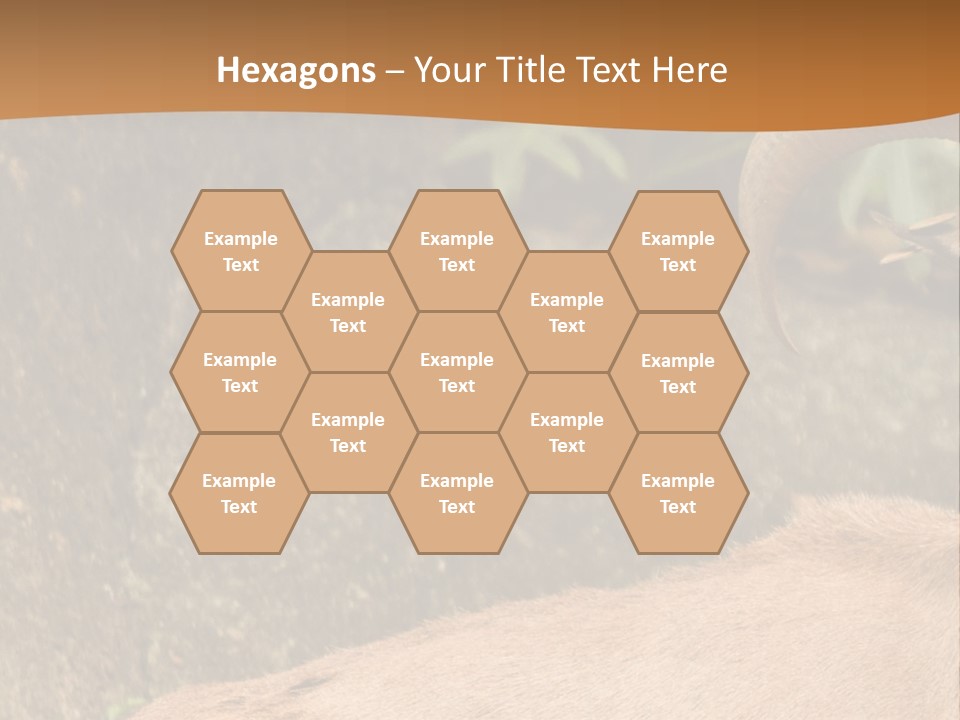 A Goat Standing On Top Of A Pile Of Rocks PowerPoint Template