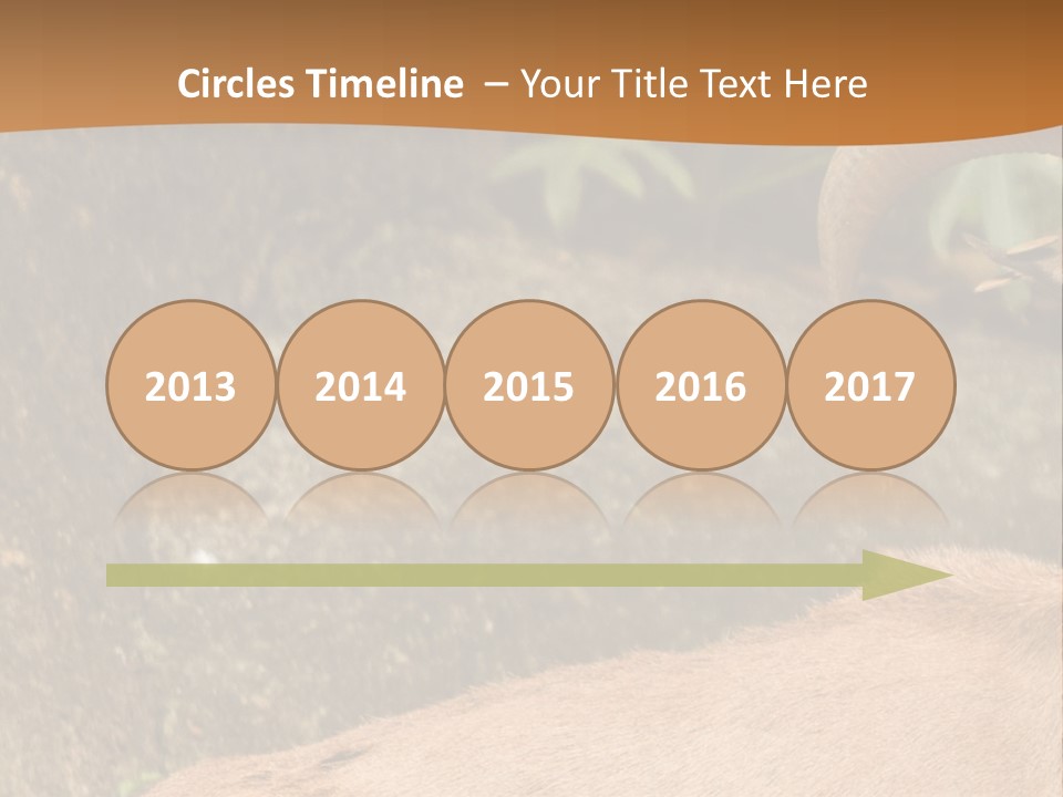 A Goat Standing On Top Of A Pile Of Rocks PowerPoint Template