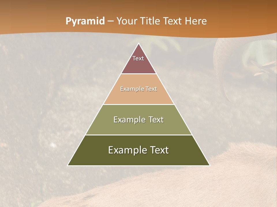 A Goat Standing On Top Of A Pile Of Rocks PowerPoint Template