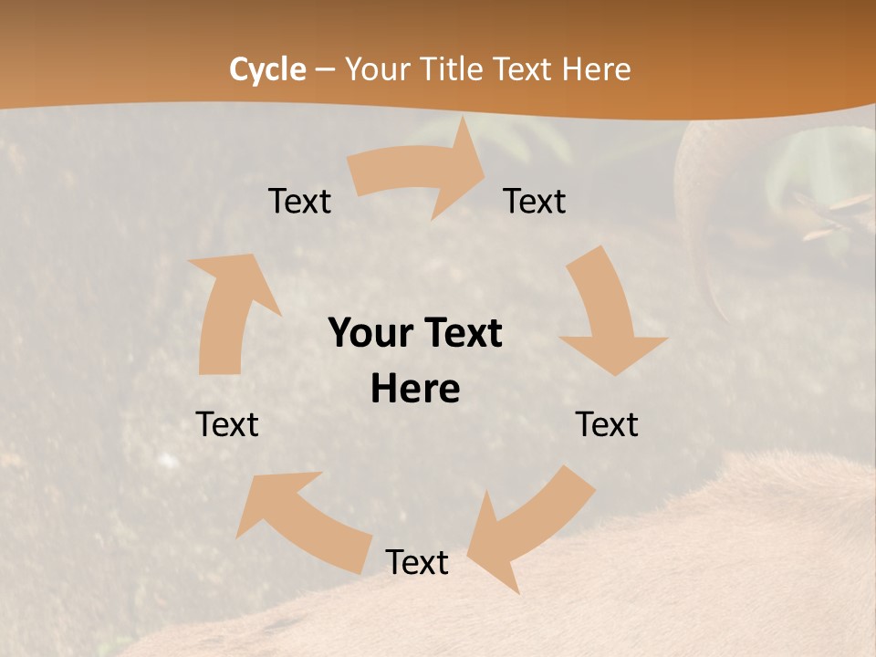 A Goat Standing On Top Of A Pile Of Rocks PowerPoint Template