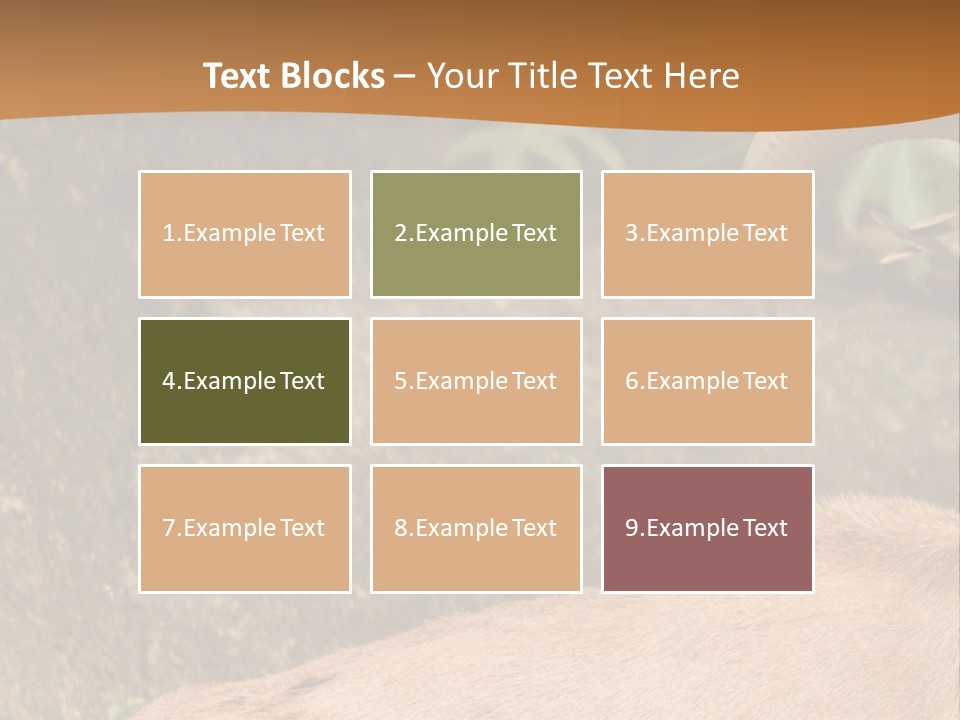 A Goat Standing On Top Of A Pile Of Rocks PowerPoint Template