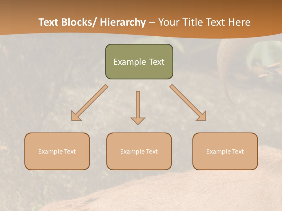A Goat Standing On Top Of A Pile Of Rocks PowerPoint Template
