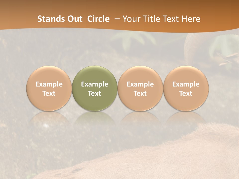 A Goat Standing On Top Of A Pile Of Rocks PowerPoint Template