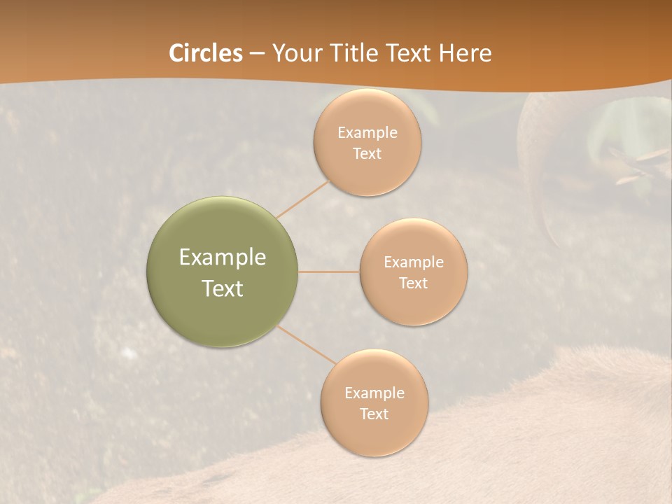 A Goat Standing On Top Of A Pile Of Rocks PowerPoint Template