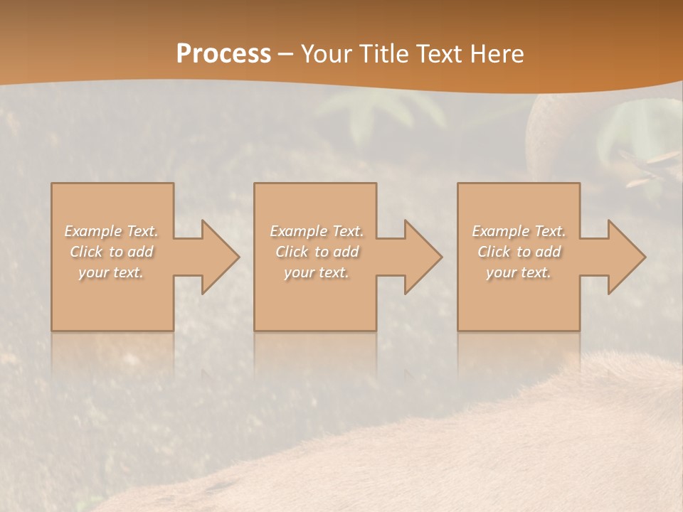 A Goat Standing On Top Of A Pile Of Rocks PowerPoint Template