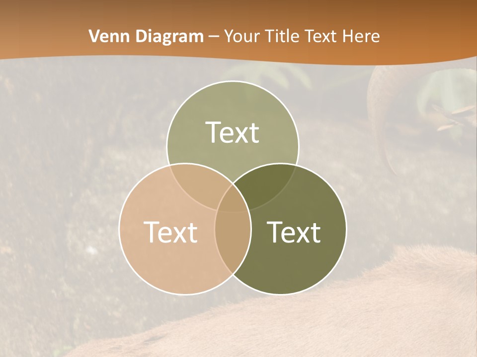 A Goat Standing On Top Of A Pile Of Rocks PowerPoint Template