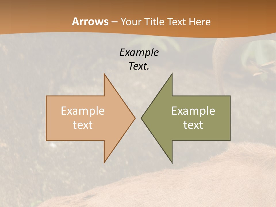 A Goat Standing On Top Of A Pile Of Rocks PowerPoint Template