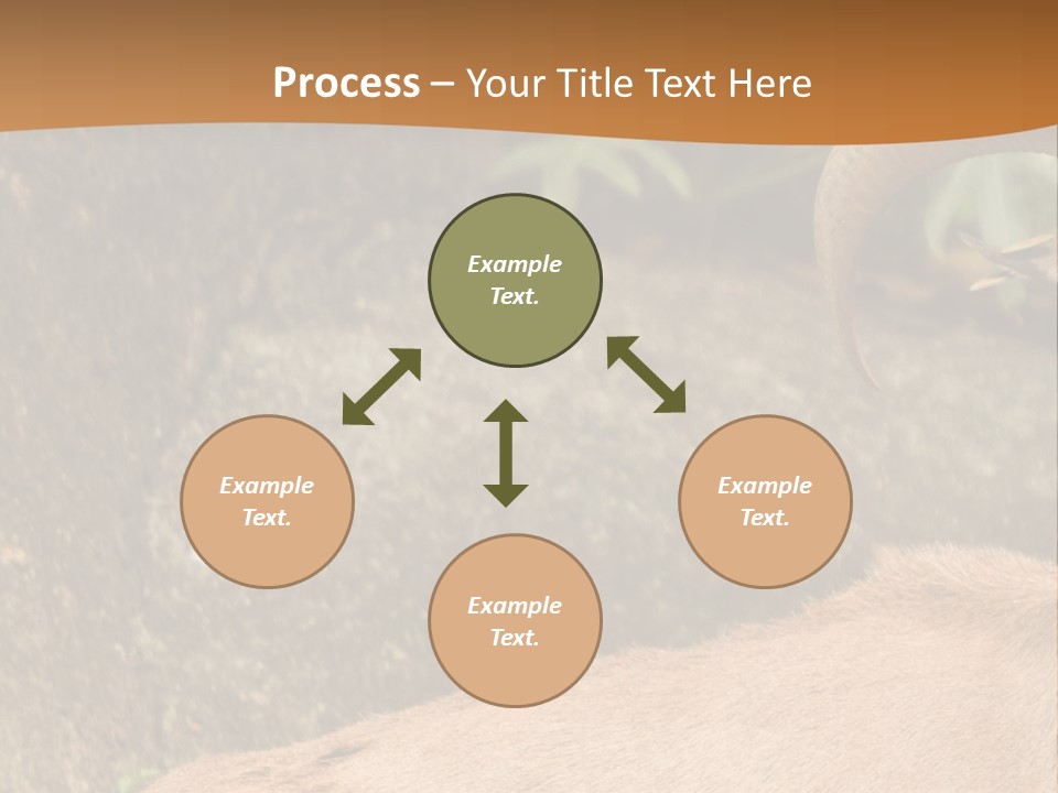 A Goat Standing On Top Of A Pile Of Rocks PowerPoint Template