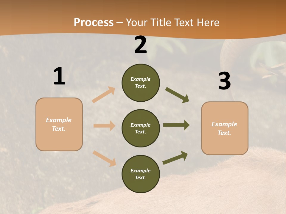 A Goat Standing On Top Of A Pile Of Rocks PowerPoint Template