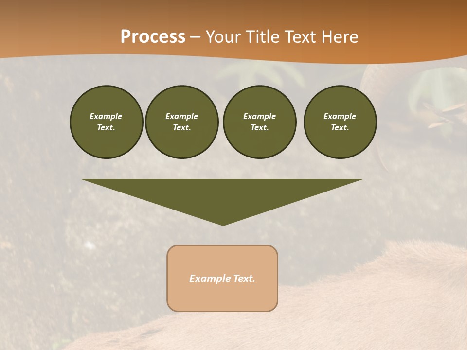 A Goat Standing On Top Of A Pile Of Rocks PowerPoint Template