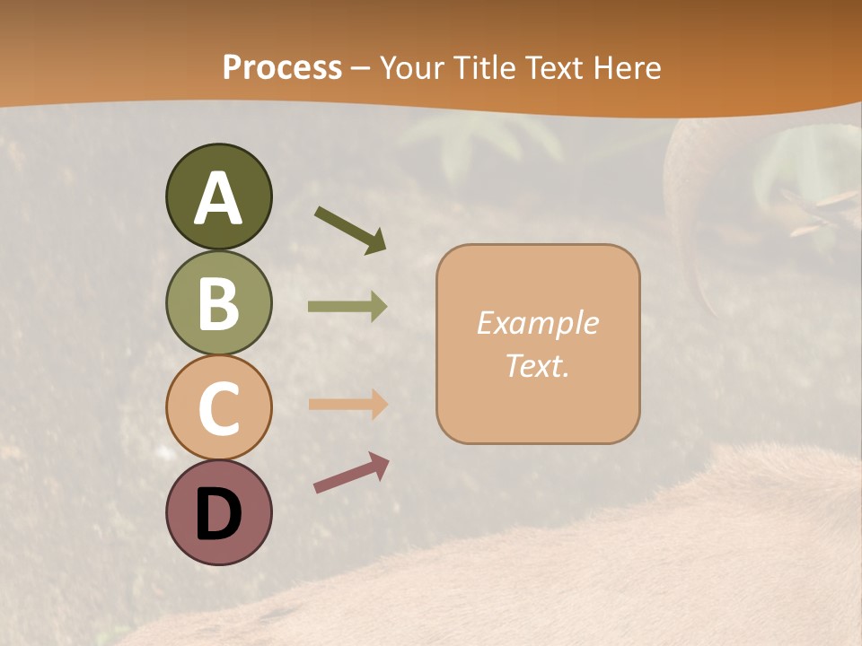 A Goat Standing On Top Of A Pile Of Rocks PowerPoint Template