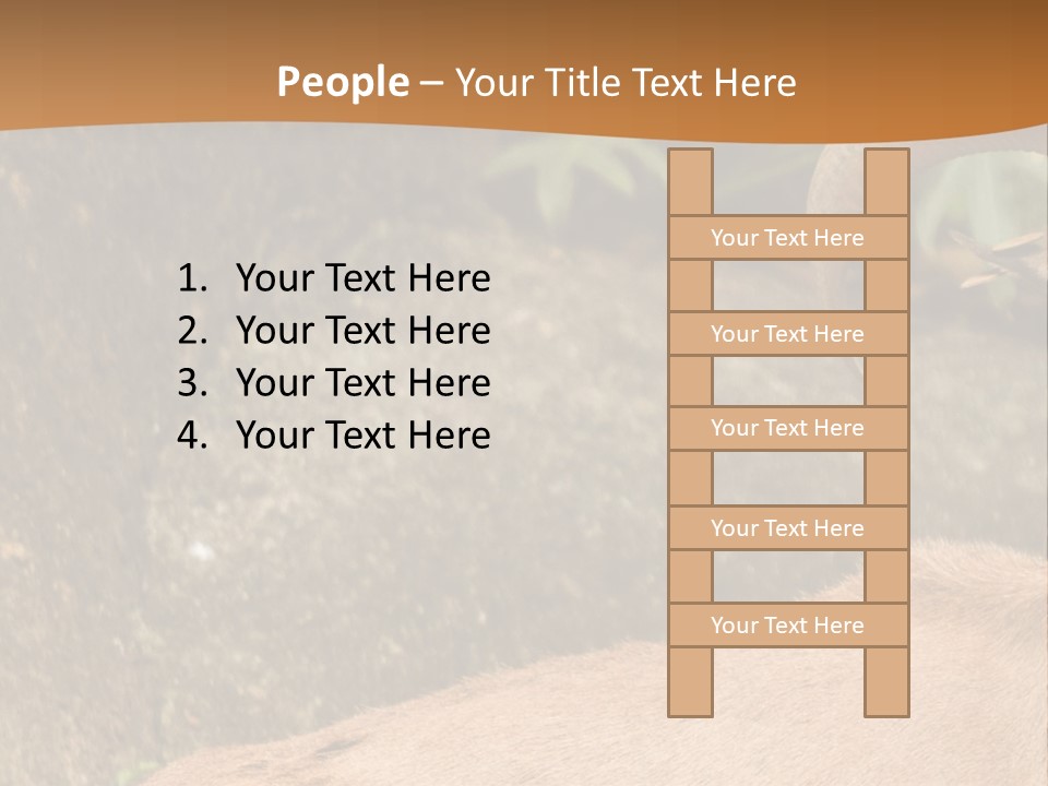 A Goat Standing On Top Of A Pile Of Rocks PowerPoint Template