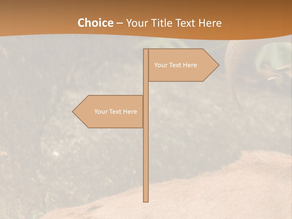 A Goat Standing On Top Of A Pile Of Rocks PowerPoint Template