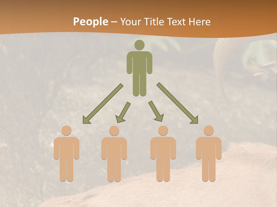 A Goat Standing On Top Of A Pile Of Rocks PowerPoint Template