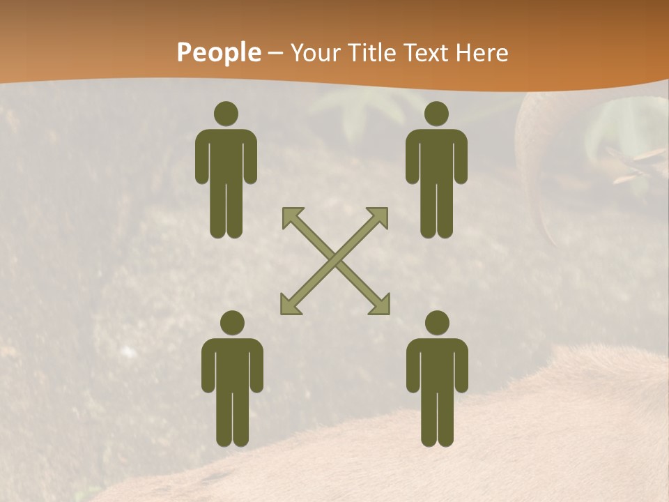 A Goat Standing On Top Of A Pile Of Rocks PowerPoint Template