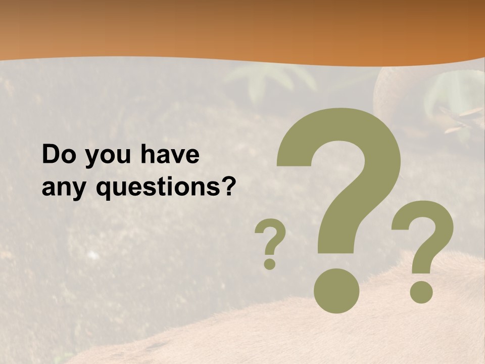 A Goat Standing On Top Of A Pile Of Rocks PowerPoint Template
