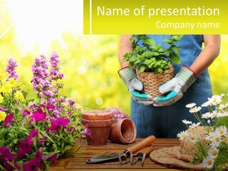 A Person Holding A Potted Plant In Their Hands PowerPoint Template