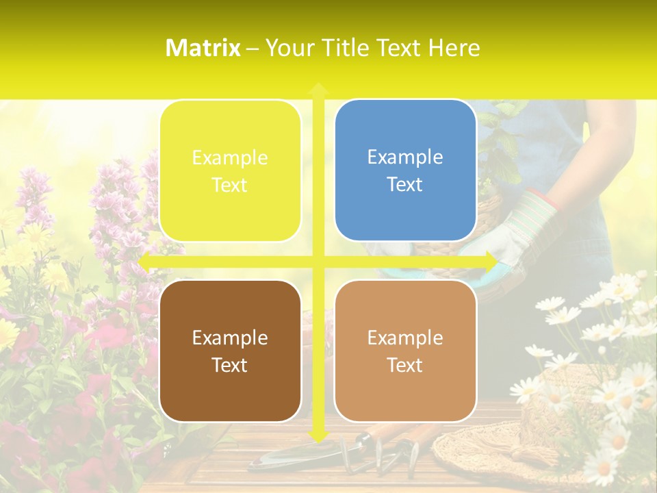 A Person Holding A Potted Plant In Their Hands PowerPoint Template