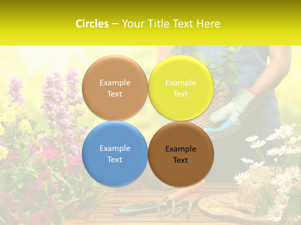 A Person Holding A Potted Plant In Their Hands PowerPoint Template