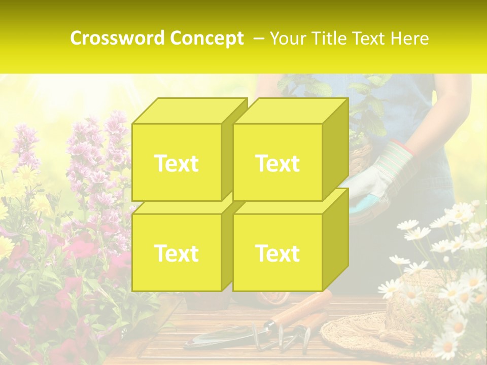 A Person Holding A Potted Plant In Their Hands PowerPoint Template