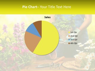 A Person Holding A Potted Plant In Their Hands PowerPoint Template