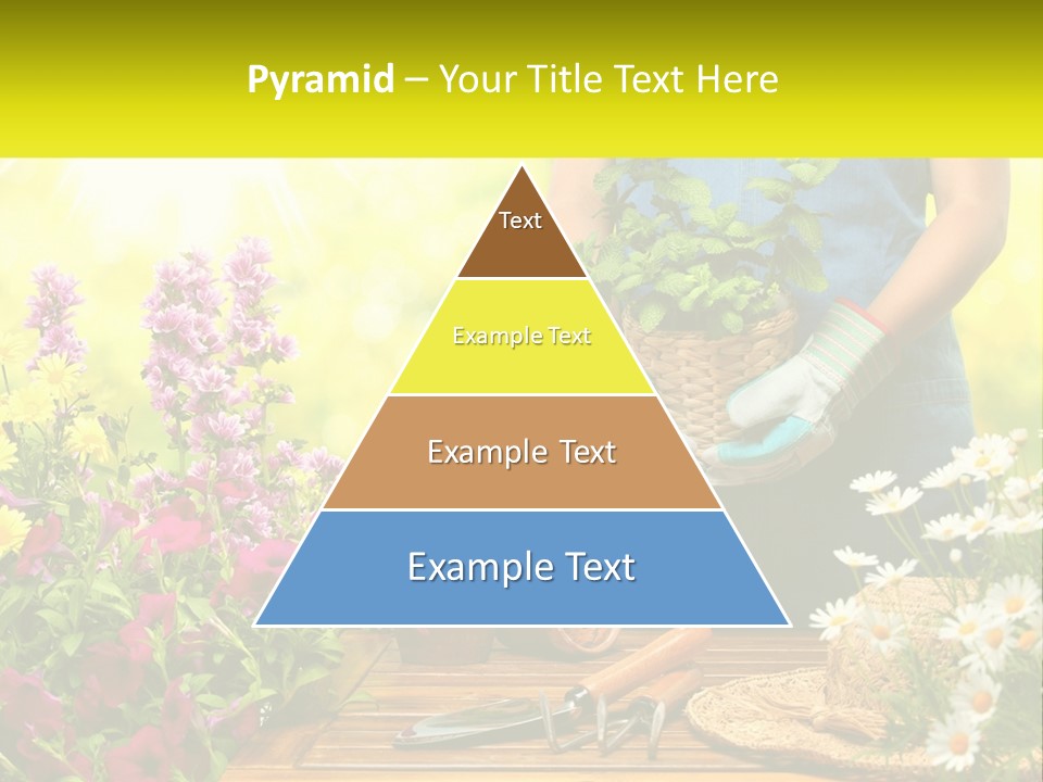 A Person Holding A Potted Plant In Their Hands PowerPoint Template