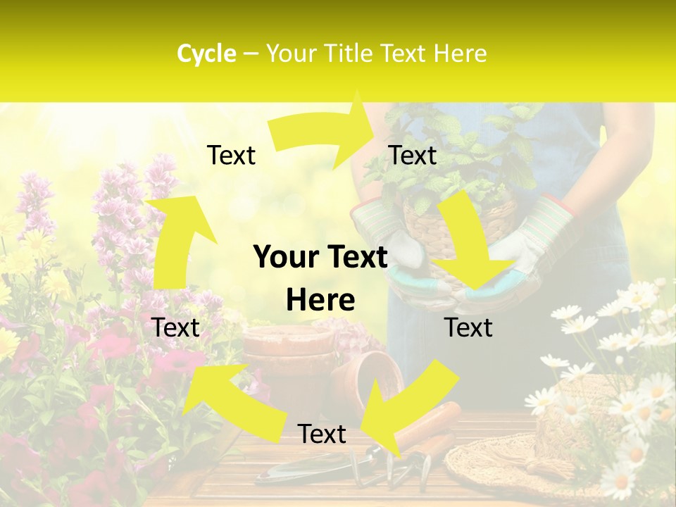 A Person Holding A Potted Plant In Their Hands PowerPoint Template
